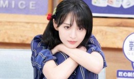 永哥女粉丝爆料大全最新,揭秘明星背后的真实故事