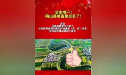 会城最新爆料消息今天新闻,最新爆料揭示今日重大新闻事件