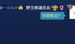 韩涵回应爆料视频大全,澄清真相与误解